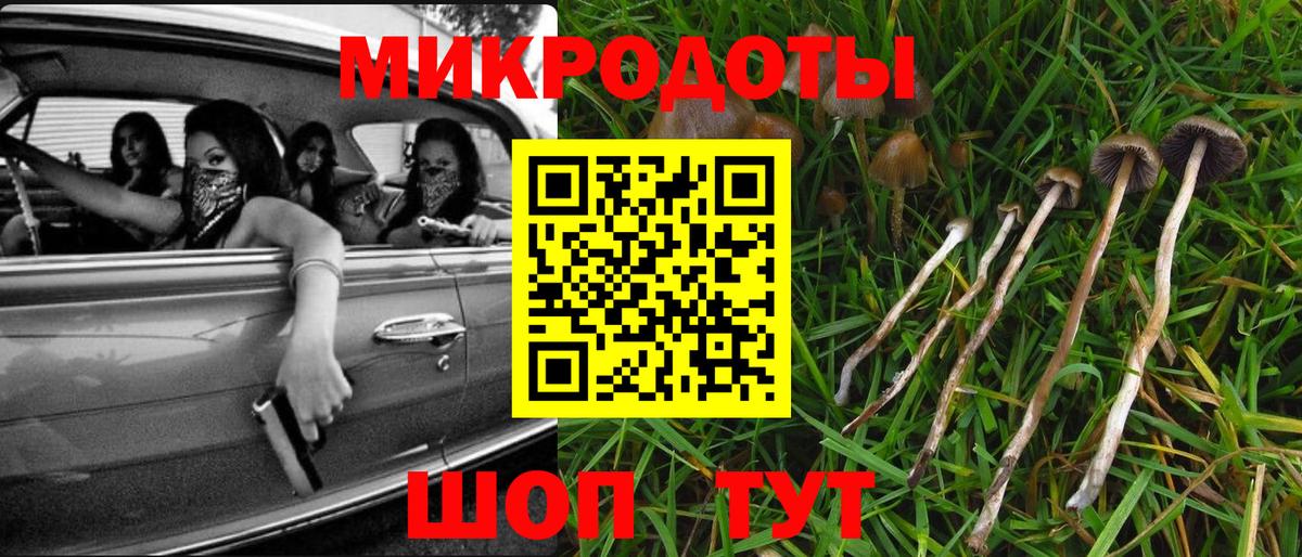 Псилоцибиновые грибы Psilocybe Кропоткин