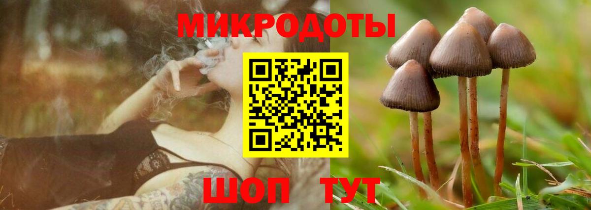Псилоцибиновые грибы MAGIC MUSHROOMS  Вход с VPN  сколько стоит  Галлюциногенные грибы прущие грибы  Кропоткин 